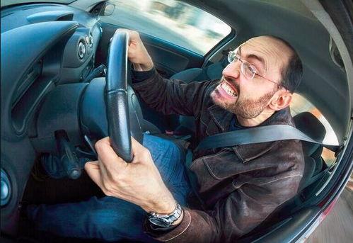 国产最美自驾车司机视频